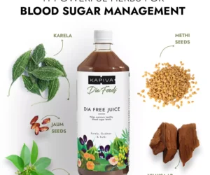 Dia Free Juice - Blood Sugar Management